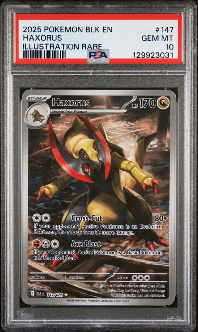 Haxorus