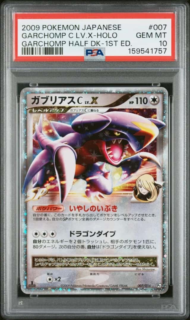 GARCHOMP C LV.X