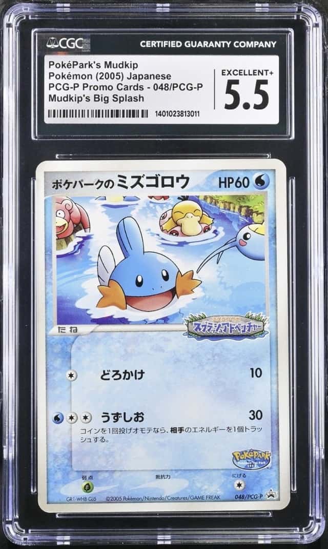Pokepark's Mudkip
