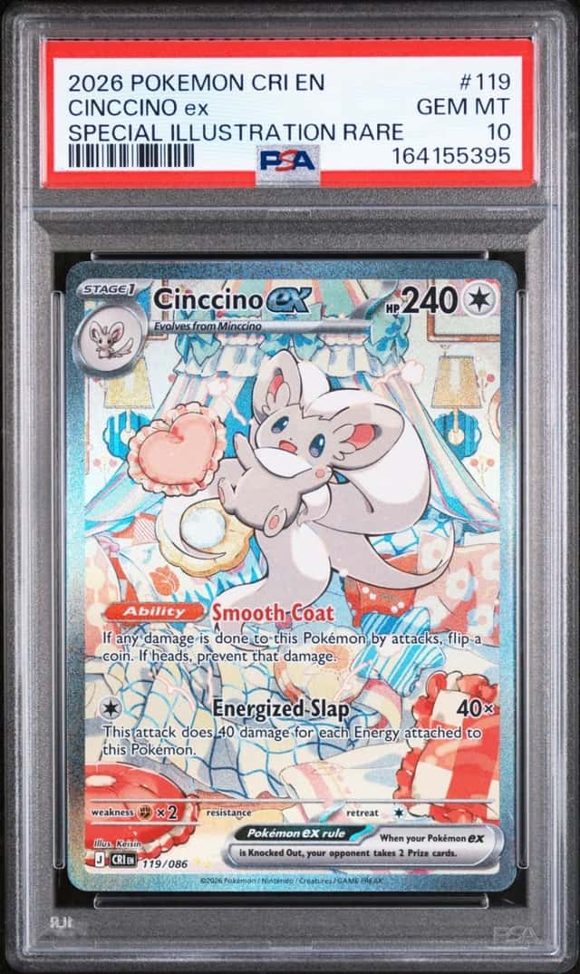 CINCCINO ex