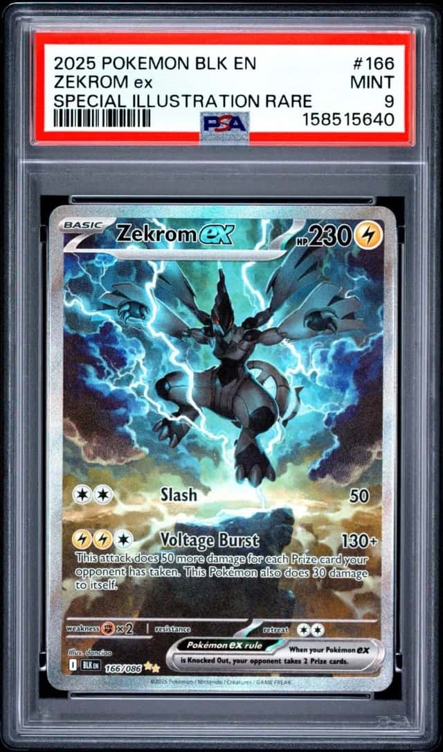 ZEKROM ex