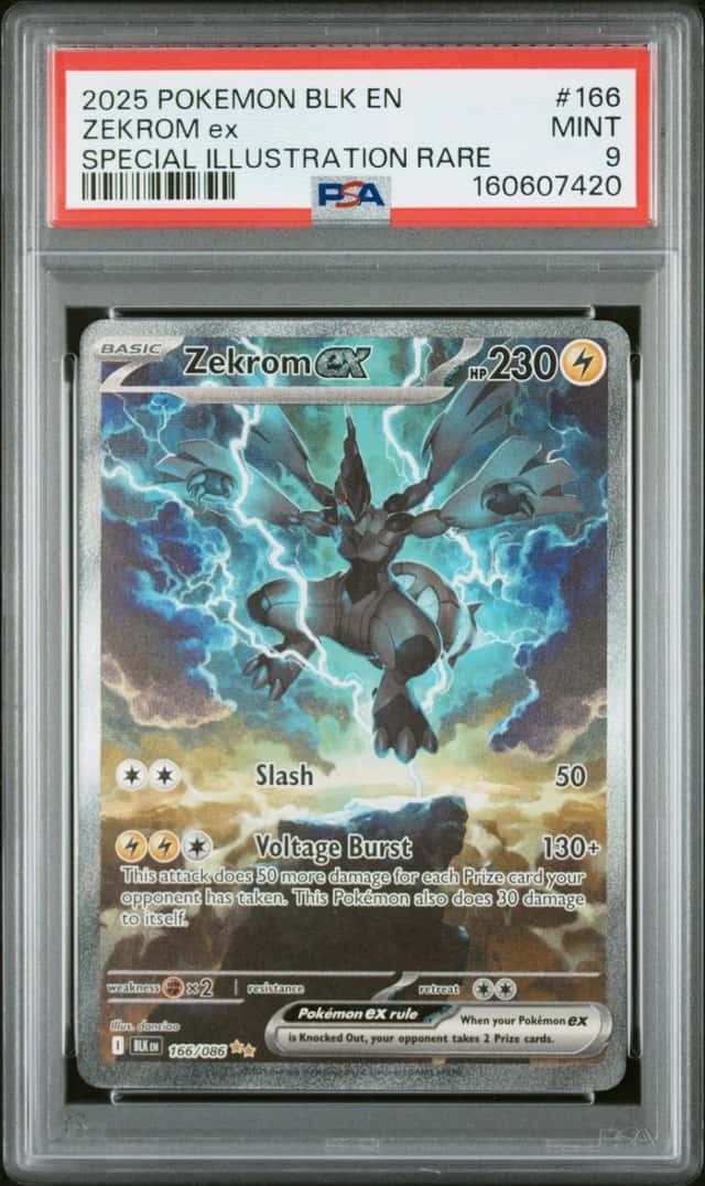 ZEKROM ex