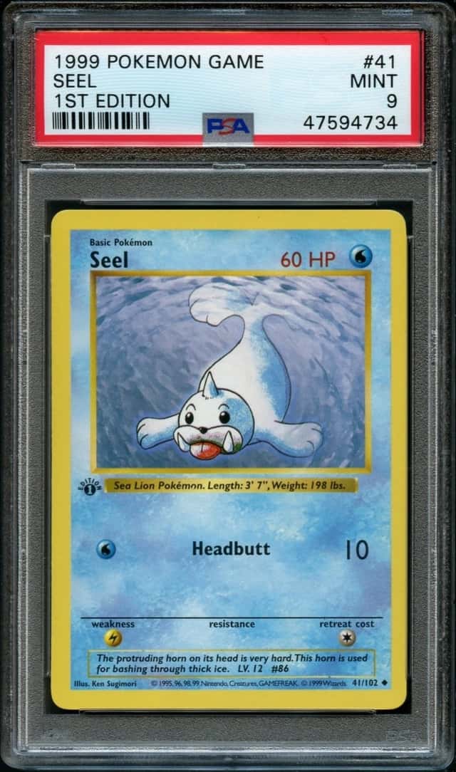 Seel