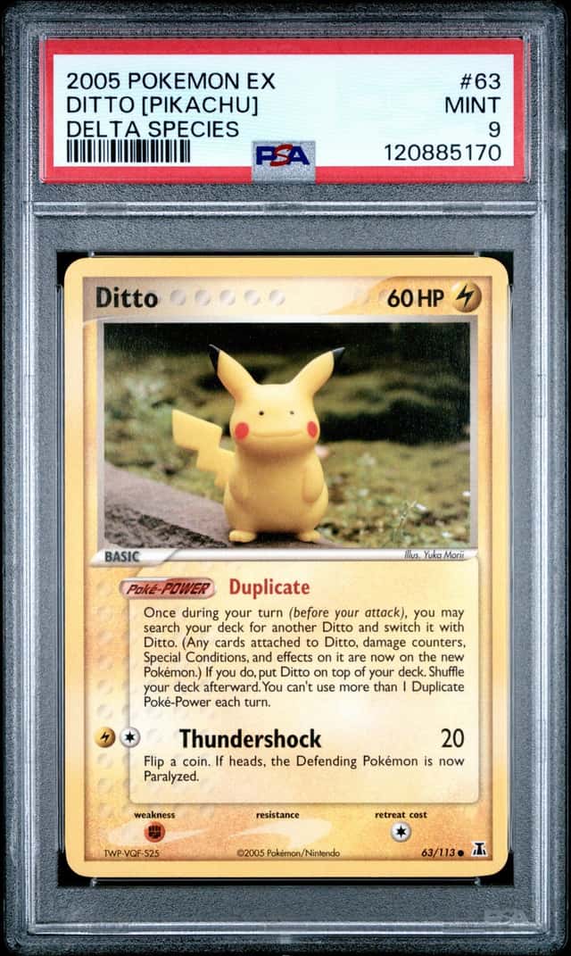 Ditto [Pikachu]