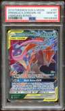 Greninja & Zoroark Gx