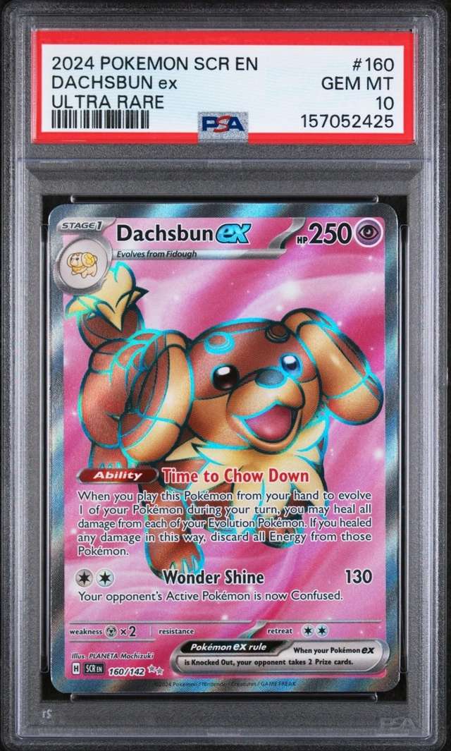 DACHSBUN ex