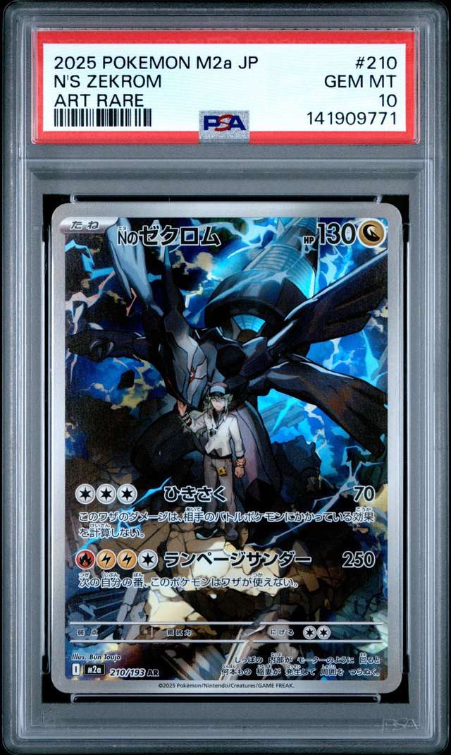 N's Zekrom