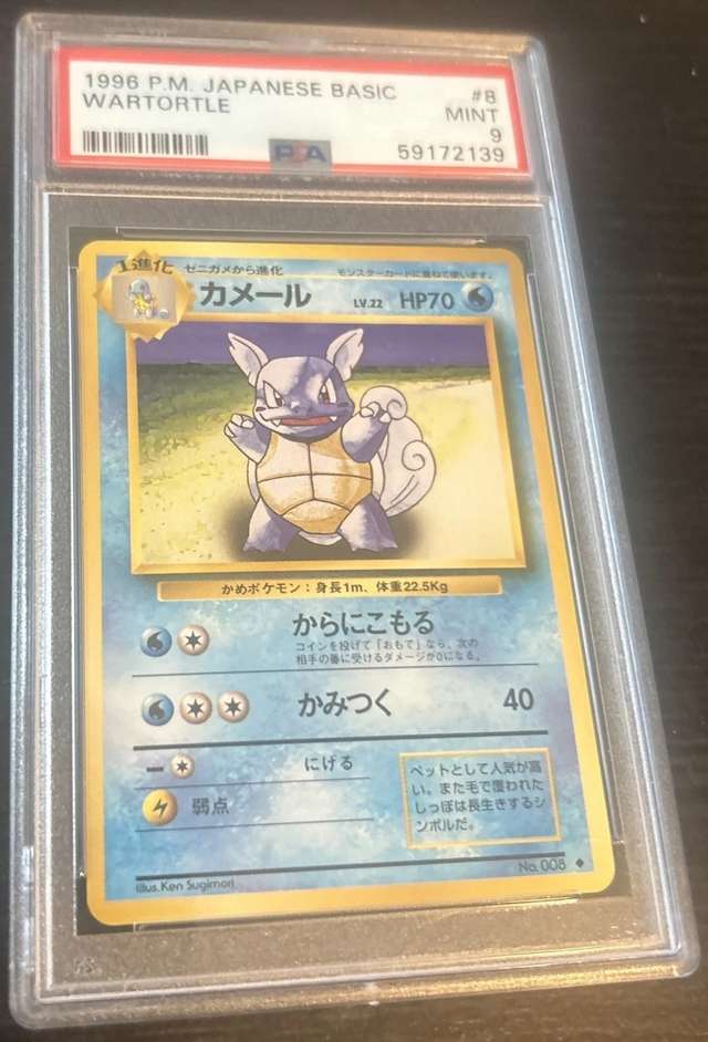Wartortle