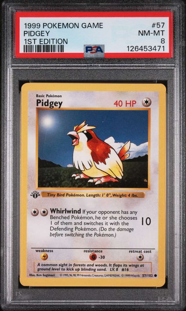 PIDGEY
