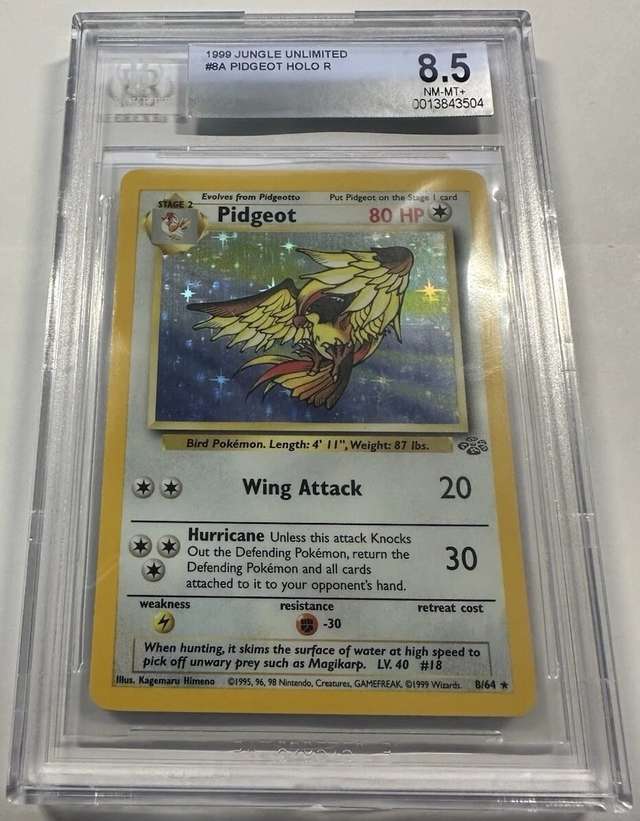 PIDGEOT