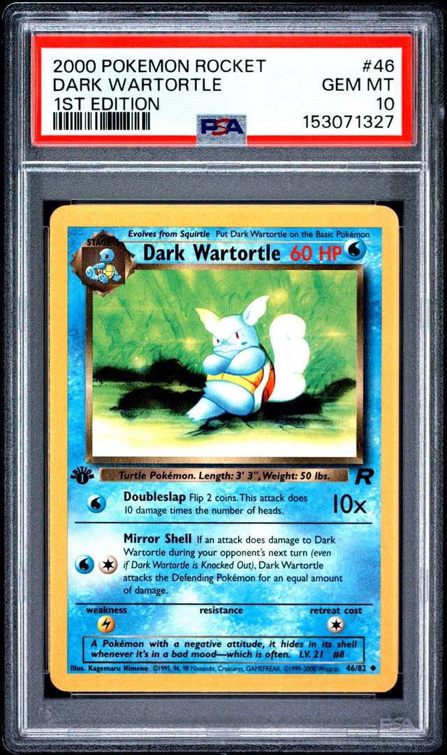 Dark Wartortle
