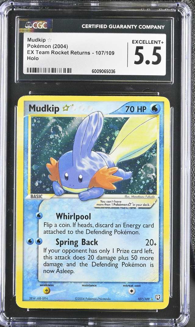Mudkip