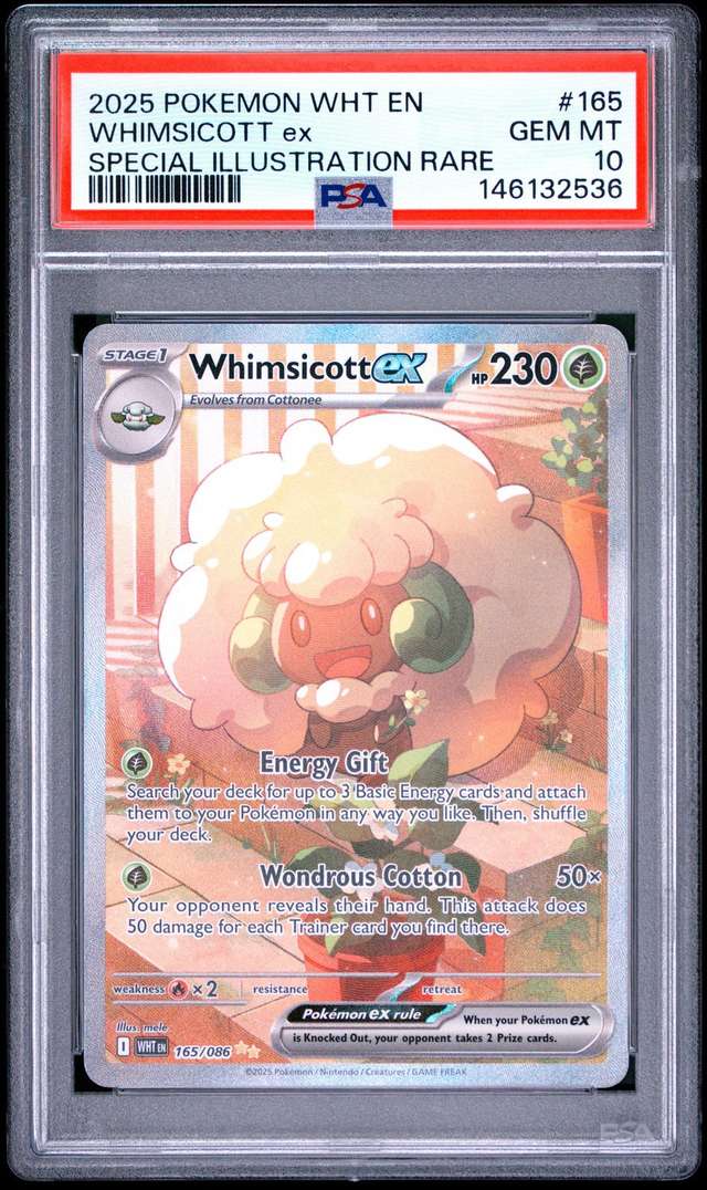 WHIMSICOTT ex