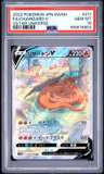 Fa/charizard V