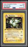 Magneton