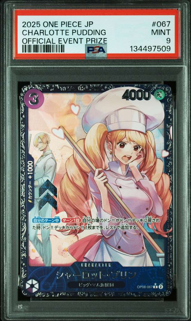 Charlotte Pudding