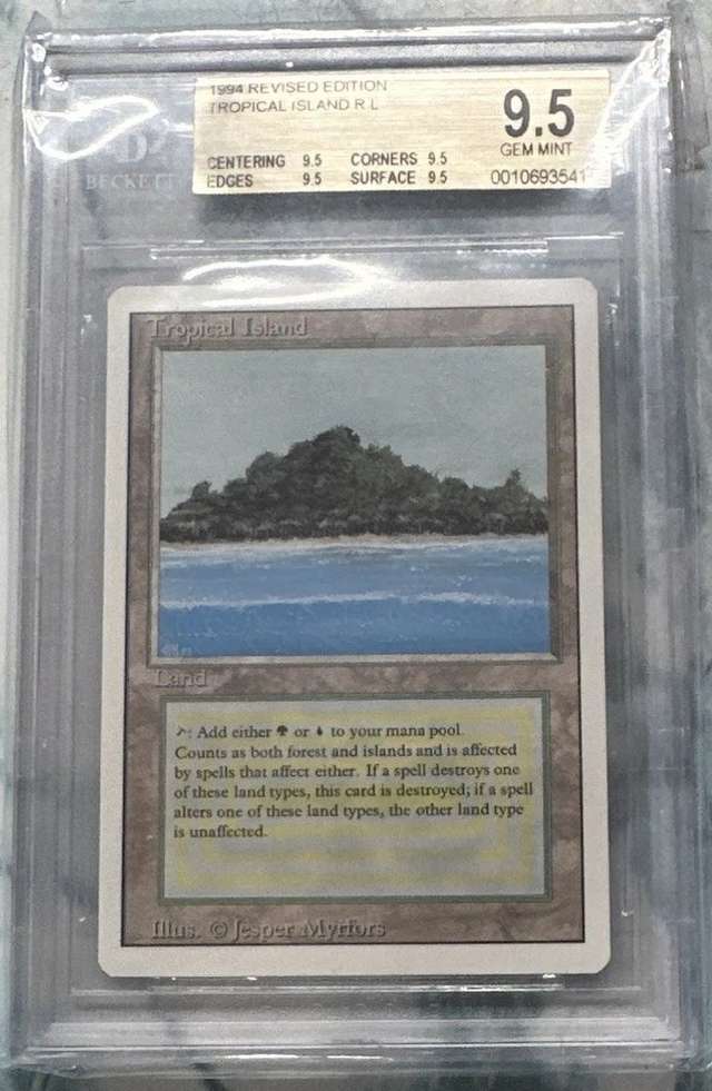 Tropical Island