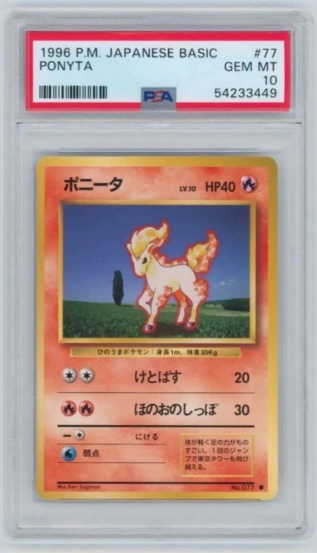 Ponyta