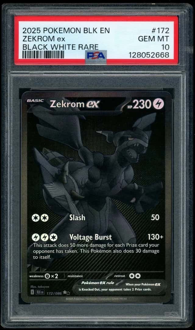 ZEKROM ex