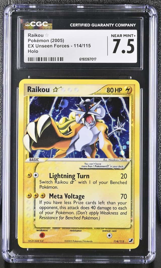 Raikou