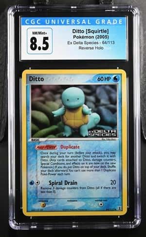 Ditto [Squirtle]