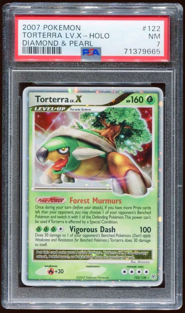 TORTERRA LV.X
