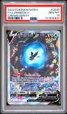Lumineon V