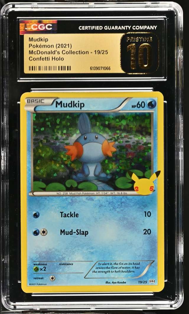 Mudkip