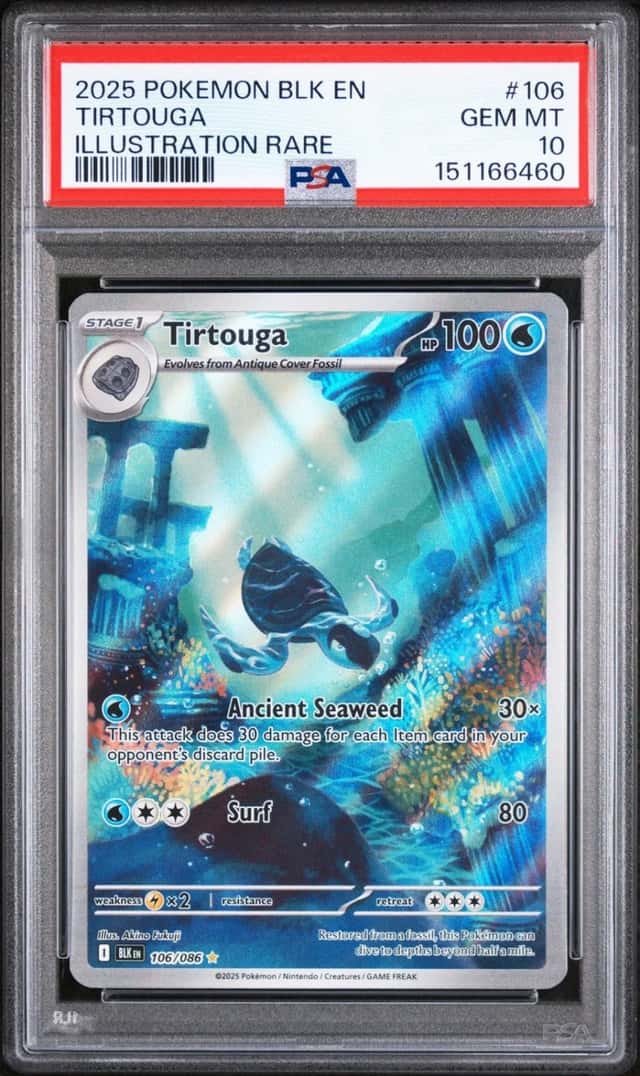 Tirtouga