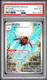 Ninjask