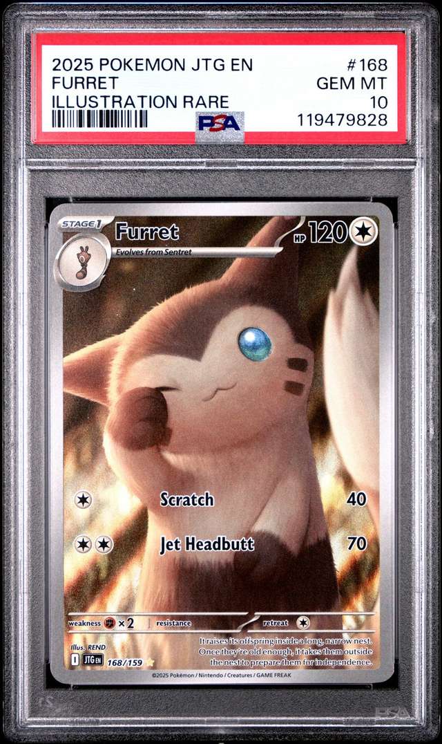 Furret