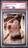 Furret