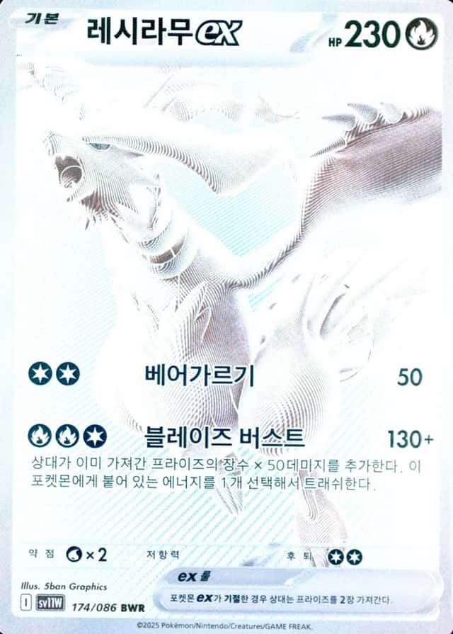 Base / no variant