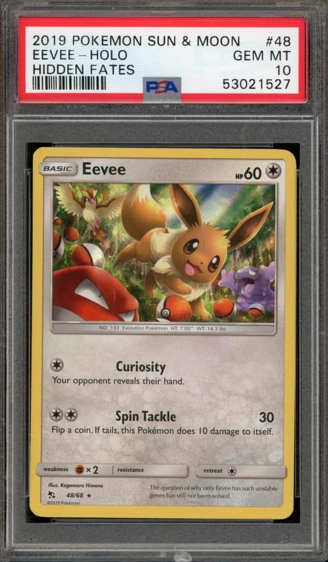 Eevee