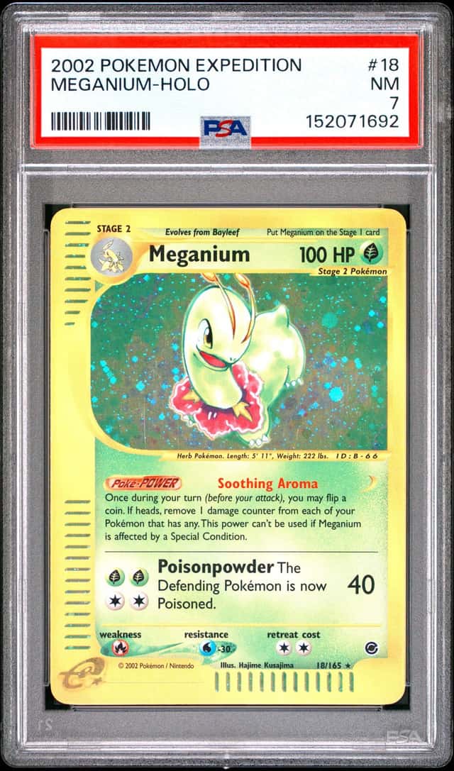 Meganium