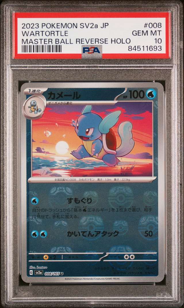Wartortle