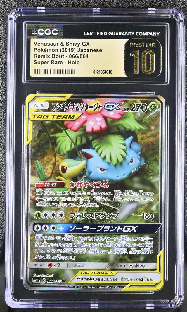 Venusaur & Snivy GX