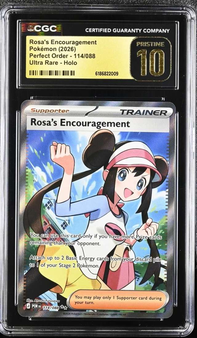 Rosa's Encouragement