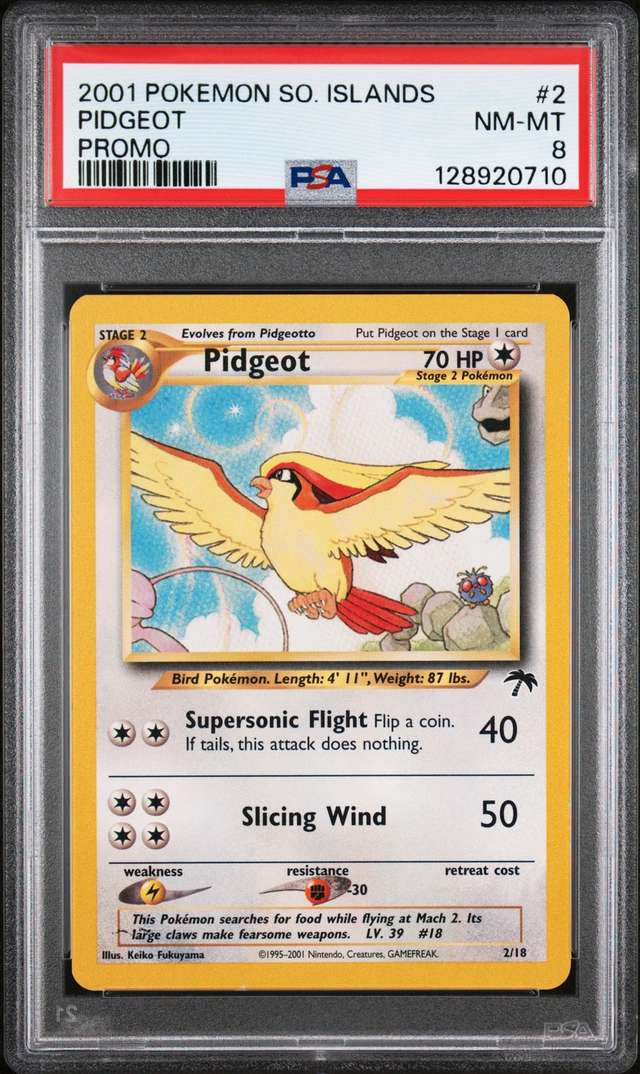 Pidgeot