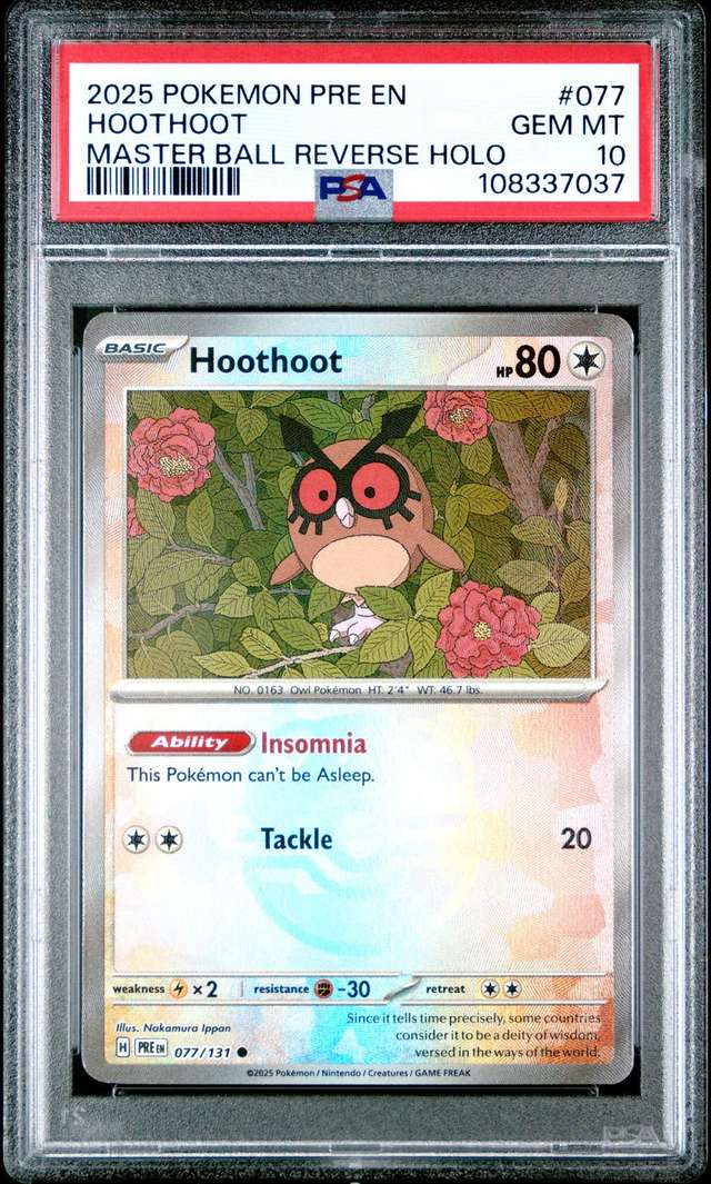 Hoothoot