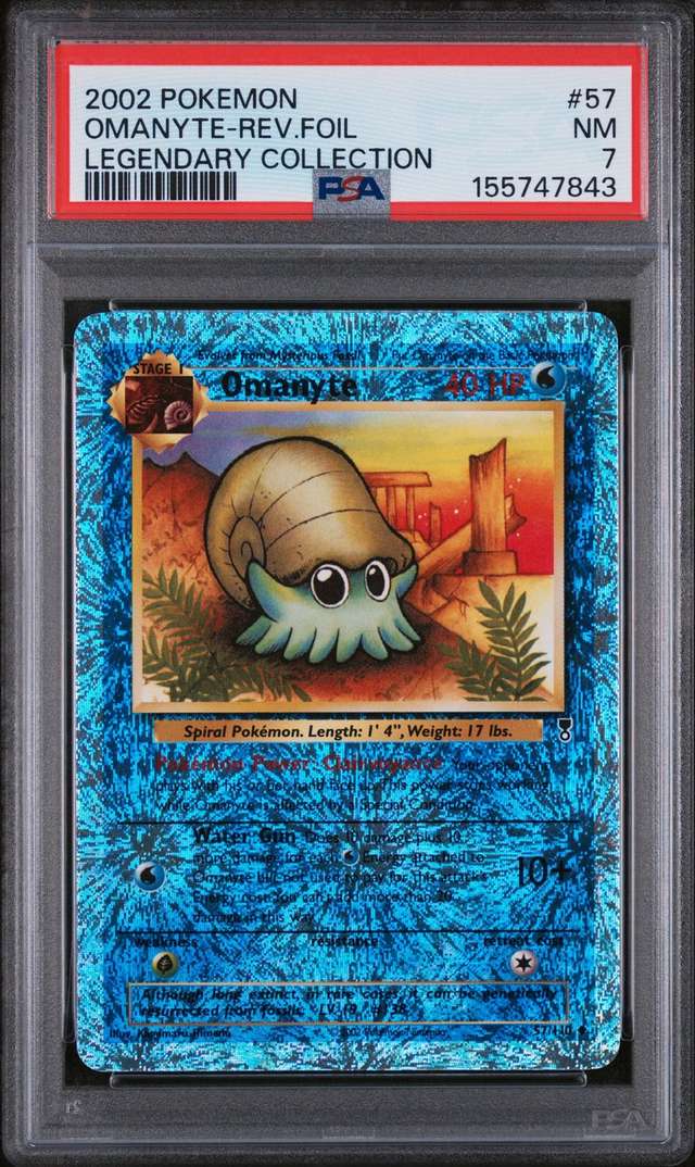 Omanyte U