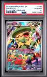 Ludicolo