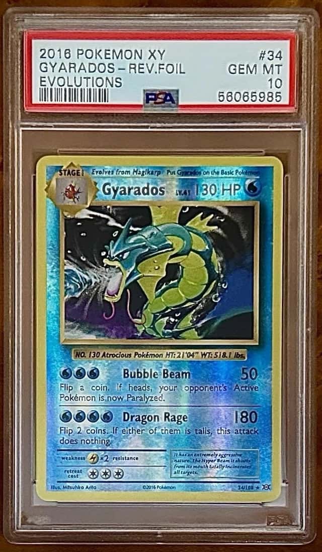 GYARADOS