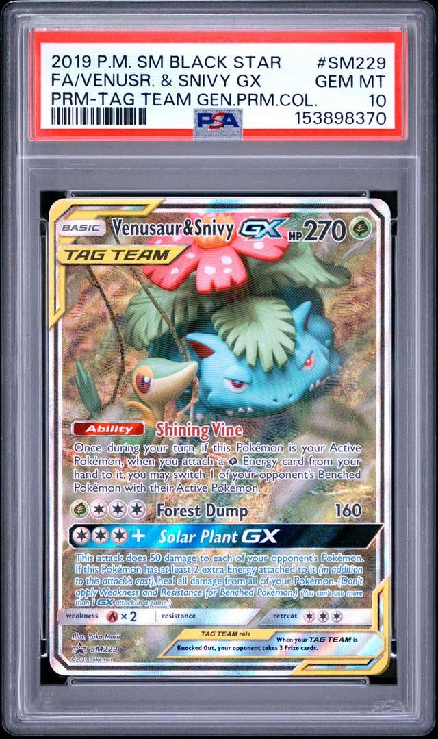 Venusaur & Snivy GX