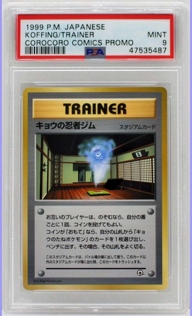 KOGA'S NINJA GYM