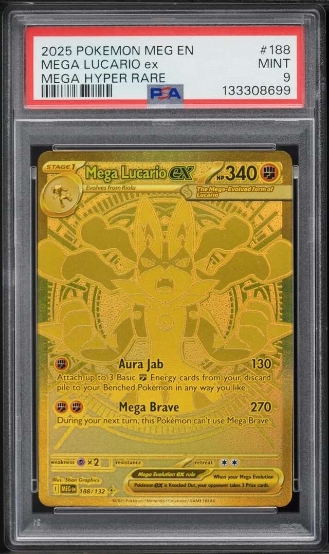 MEGA LUCARIO ex