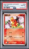 Torchic