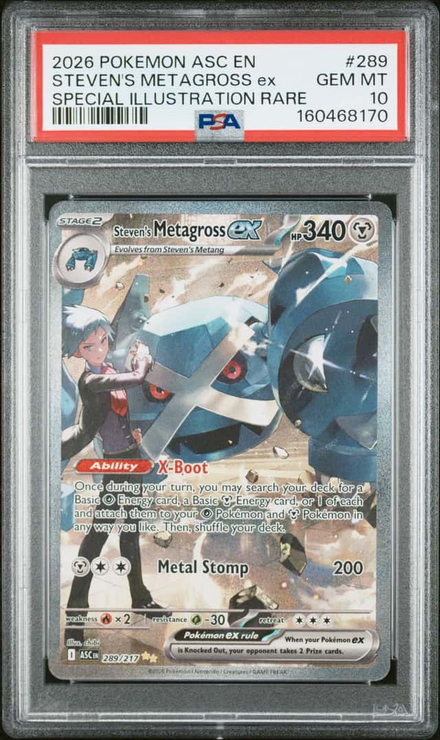 STEVEN'S METAGROSS ex