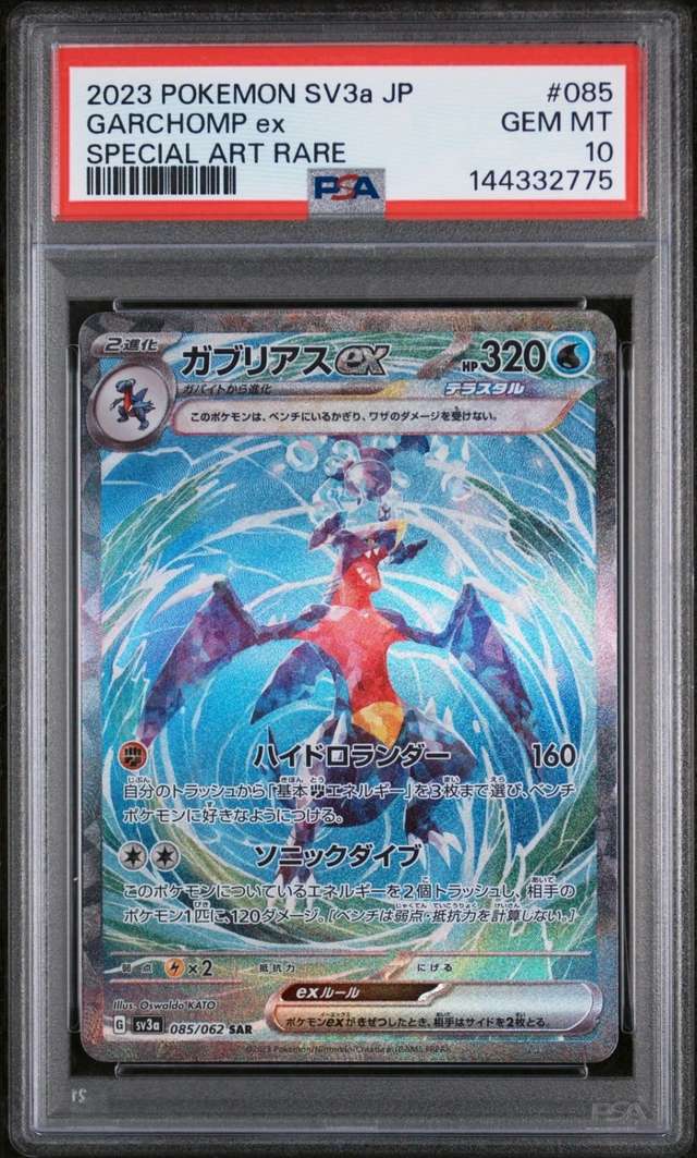 GARCHOMP ex
