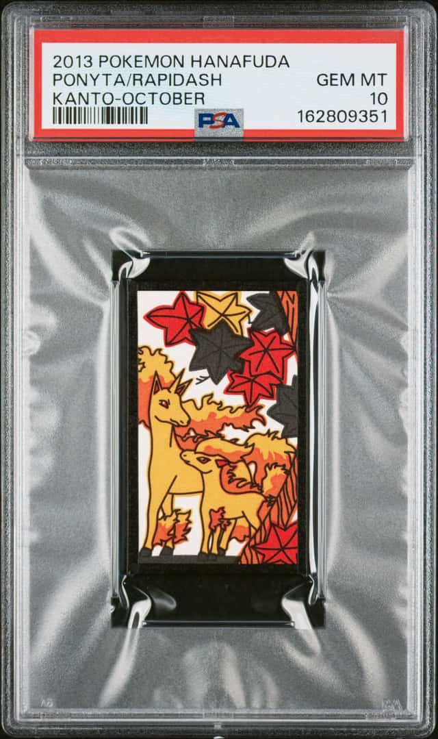 Ponyta/Rapidash